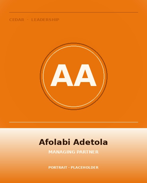 Portrait placeholder for Afolabi Adetola